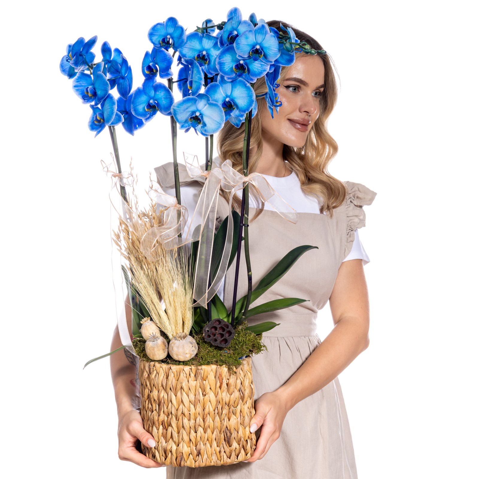 Princess 4 Dallı Mavi Orkide